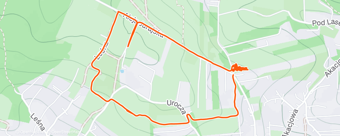 Карта физической активности (Morning Hike)