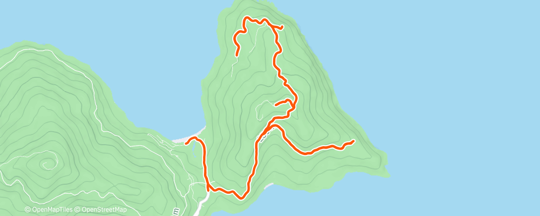 Map of the activity, Monkey run