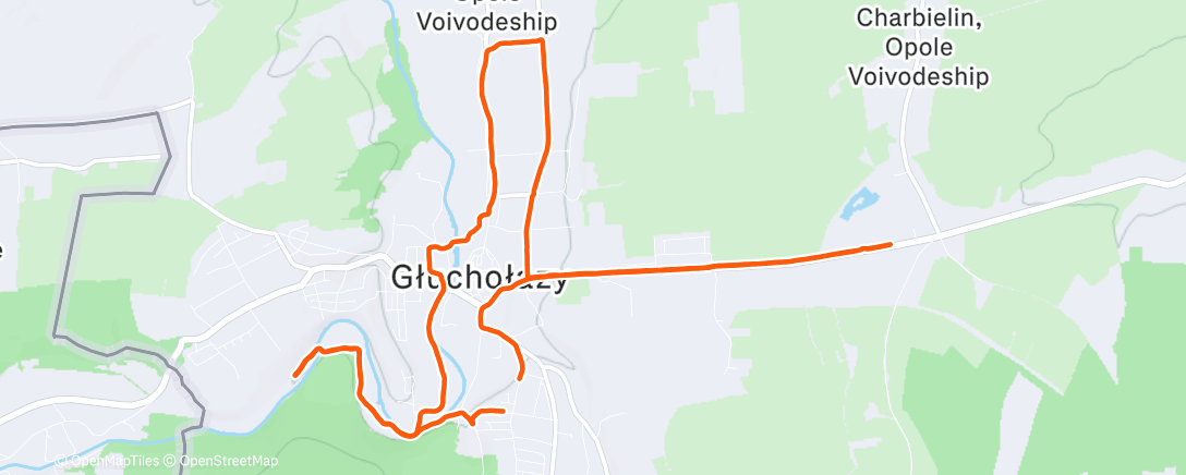 Map of the activity, Morning Run