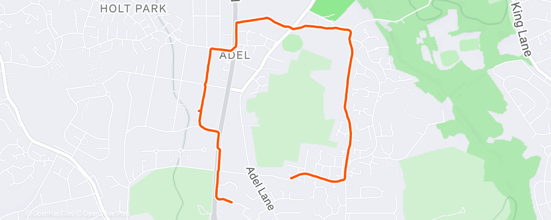 Map of the activity, Morning Run
