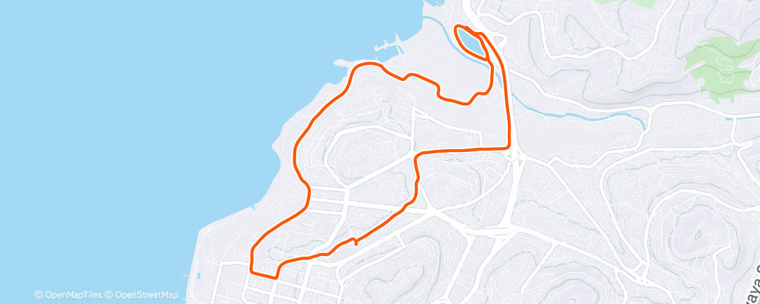 Map of the activity, New year mood