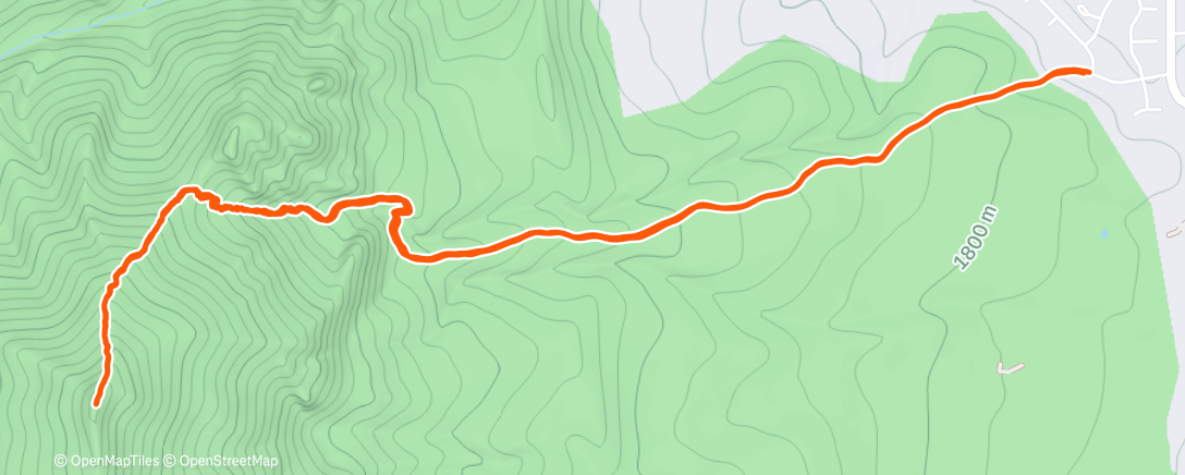 Map of the activity, bear