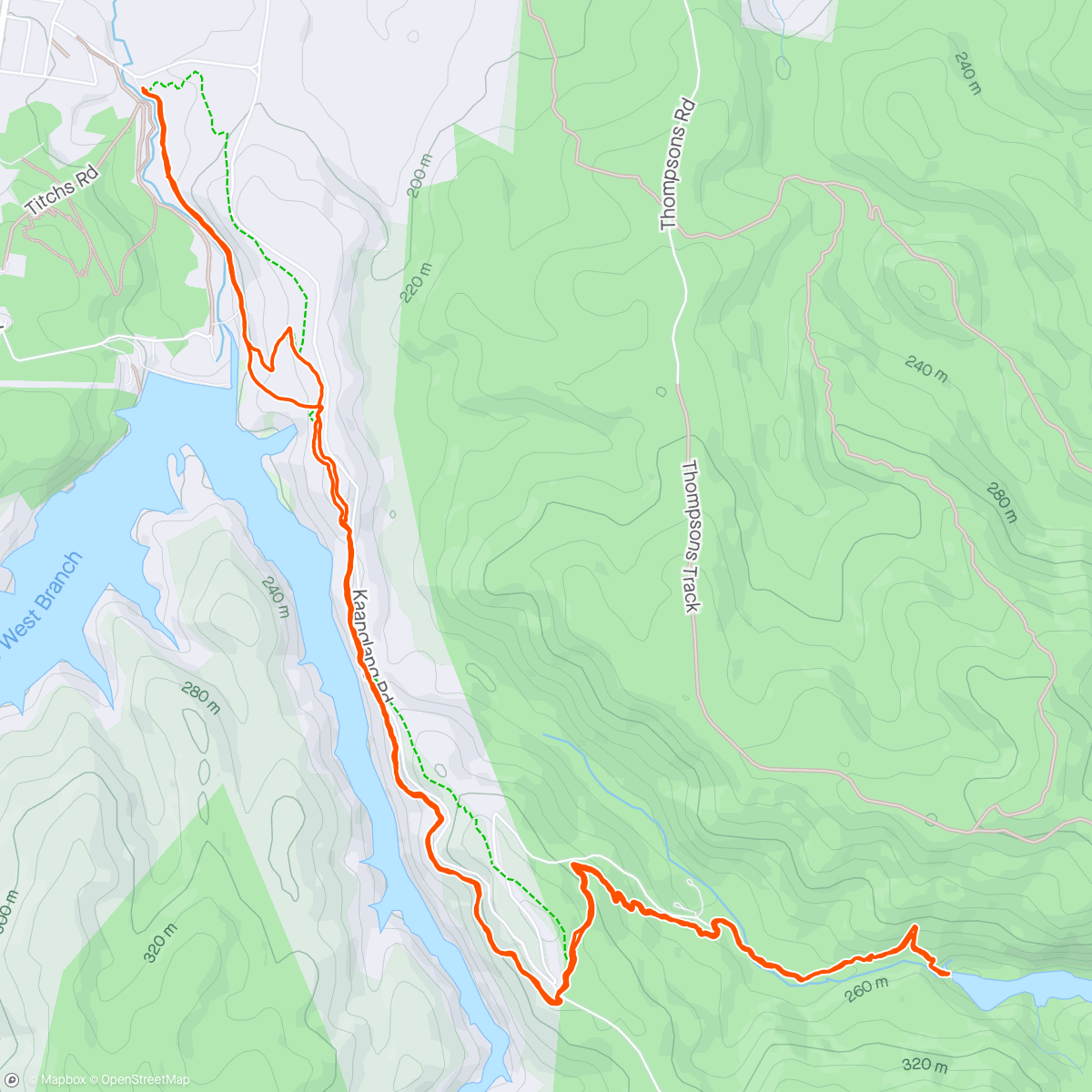 Map of the activity, Koala hike 🐨