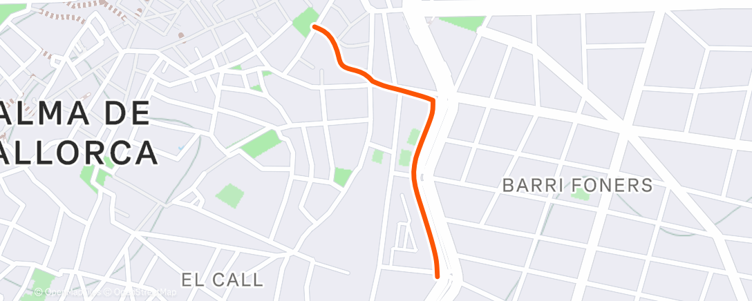 Карта физической активности (Evening Walk)