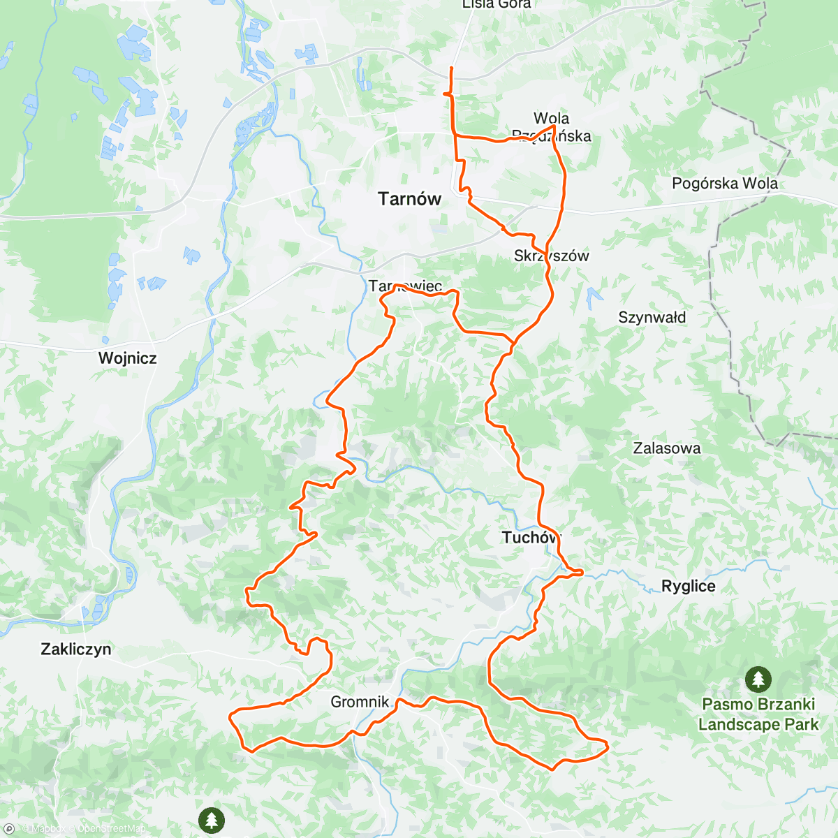 Map of the activity, WS #6 | Pidcock Drift Downhill 🙈