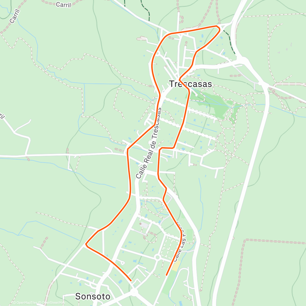 Карта физической активности (Carrera  navidad Trescasas)