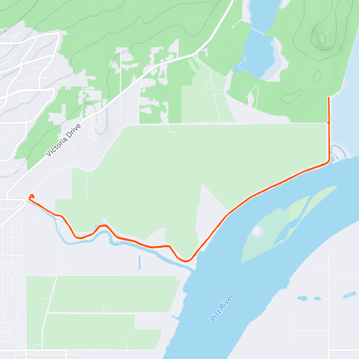 Карта физической активности (Frosted Tips)