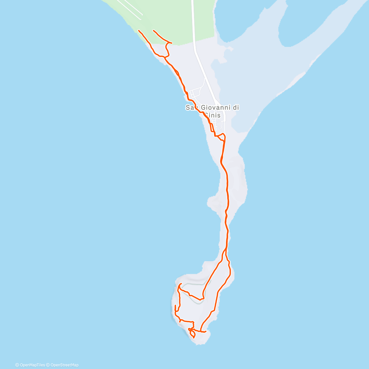 Карта физической активности (Lunch Trail Run)