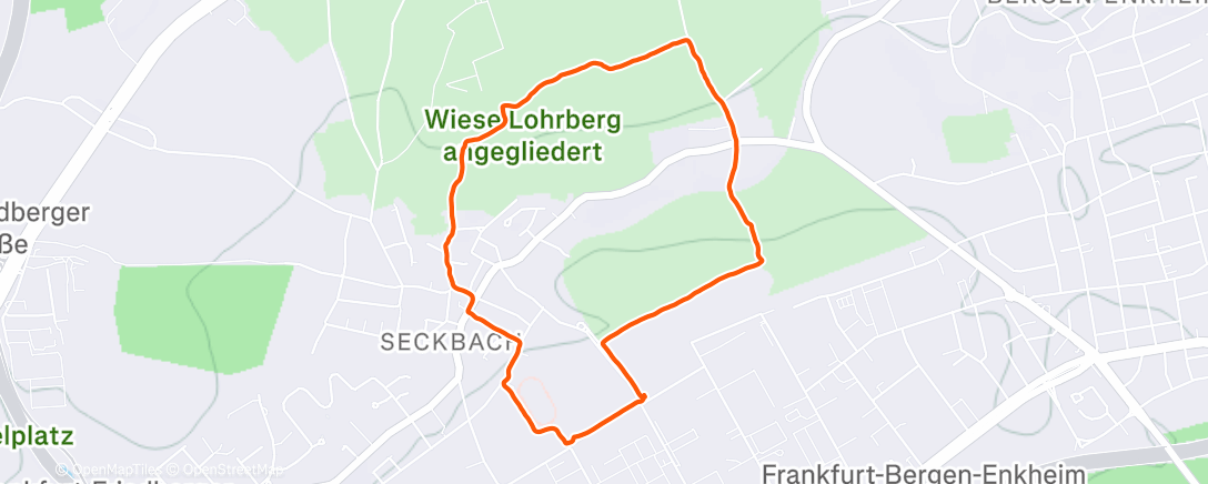 Карта физической активности (Lauf am Nachmittag)