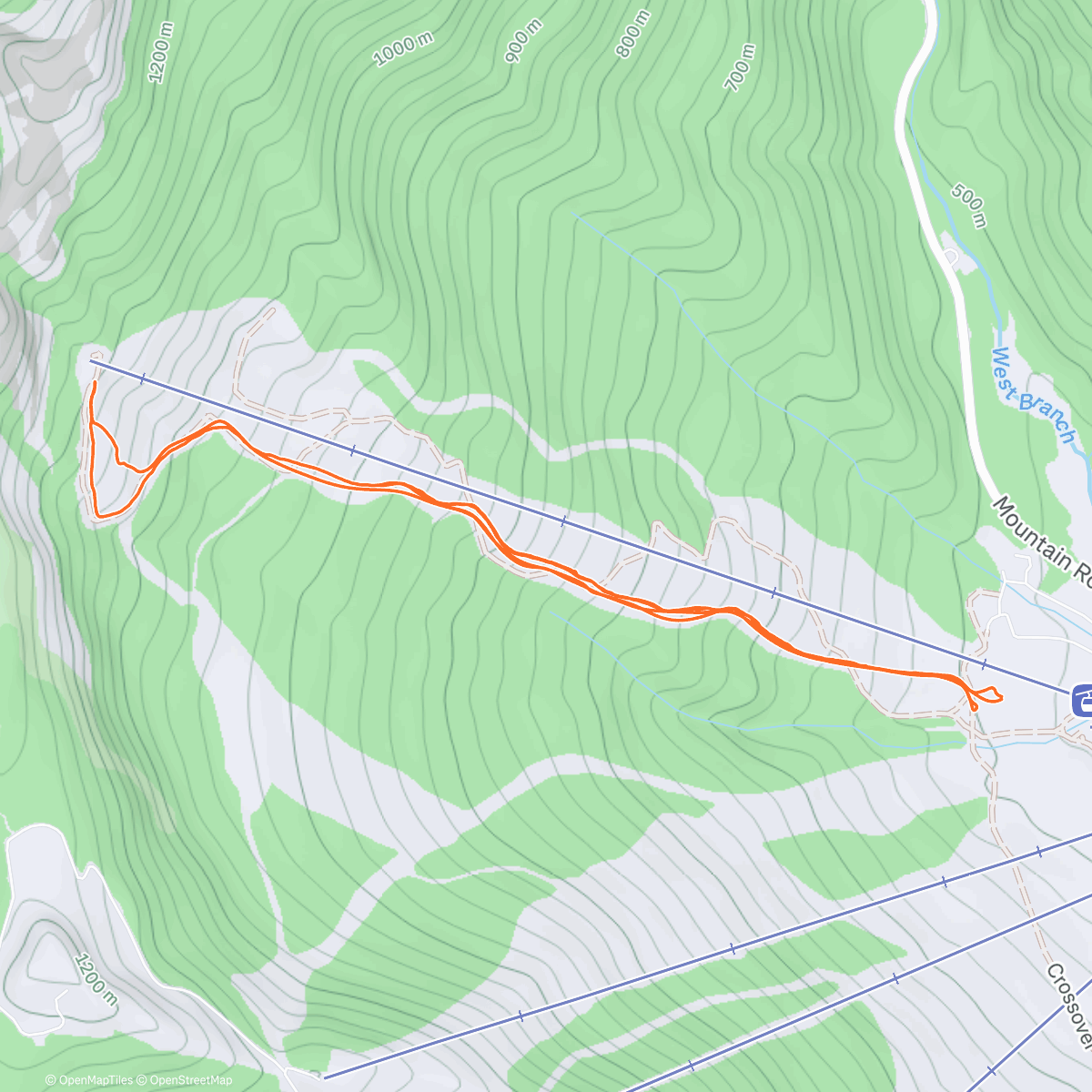 Map of the activity, Scatterbrain