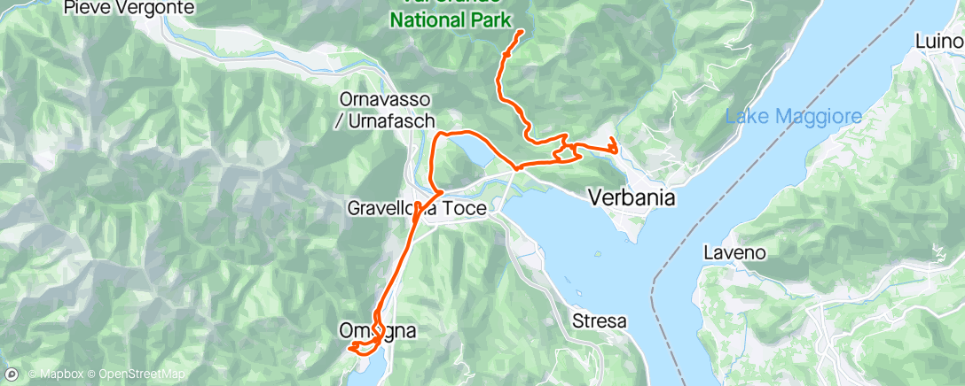 Map of the activity, Finalmente Cicogna