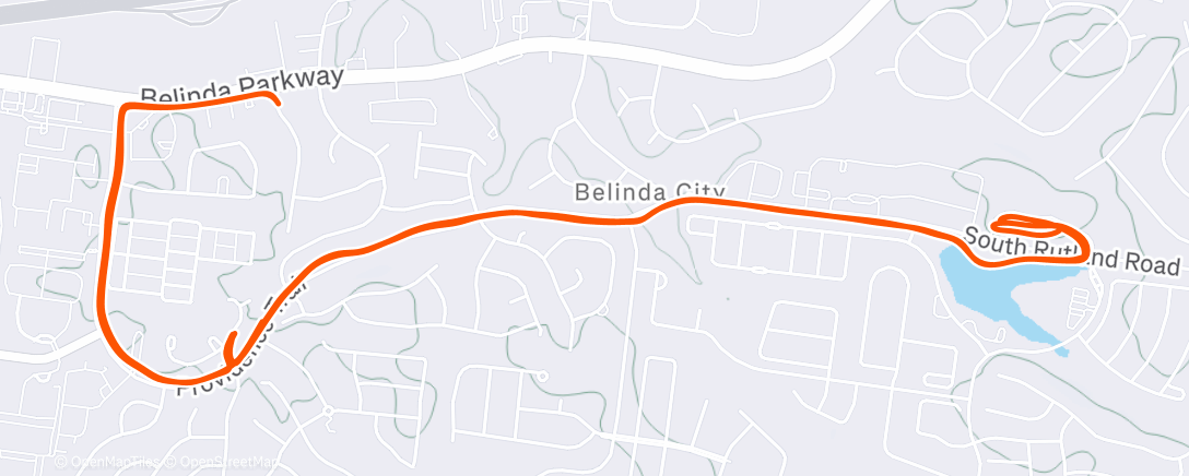 Карта физической активности (Z2)