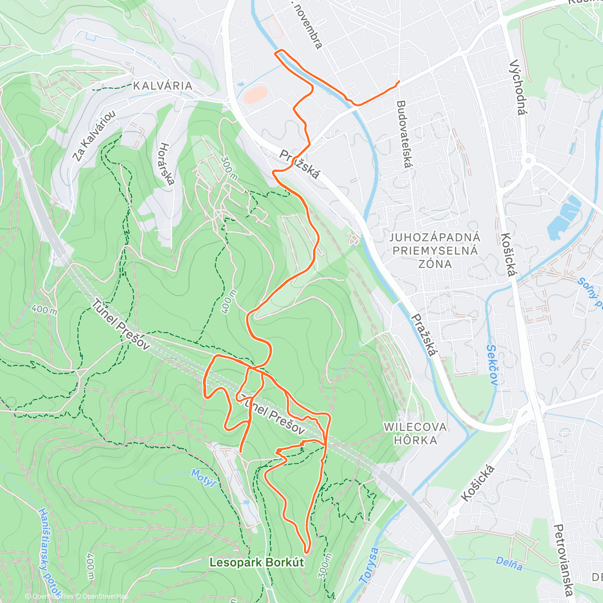 Карта физической активности (Offseason #7 trail run)