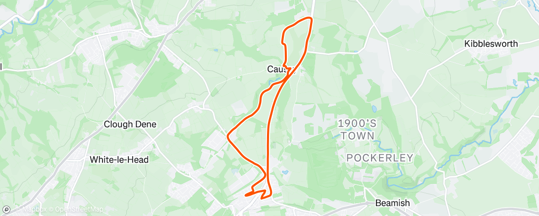 Map of the activity, Morning Run