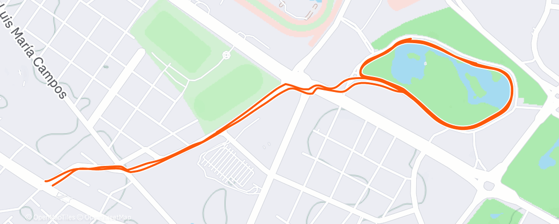 Карта физической активности (Вечерний забег)