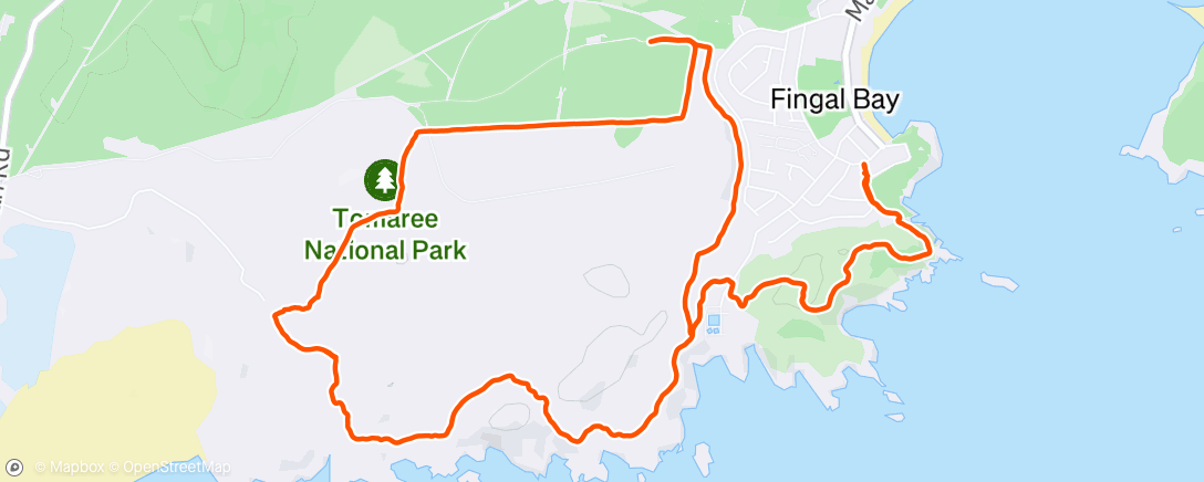 Карта физической активности (Lunch Run)