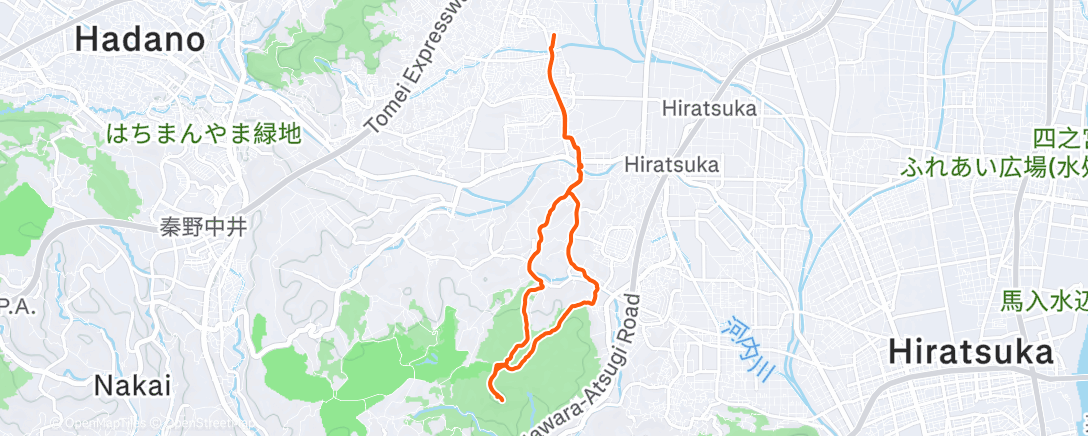 Карта физической активности (Takatoriyama)