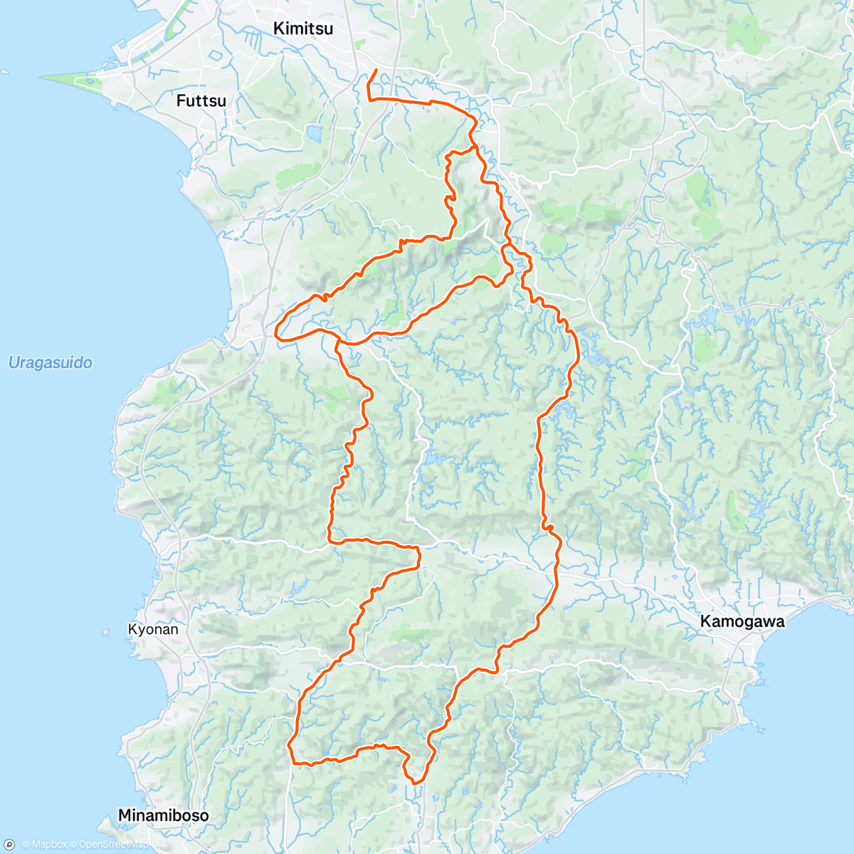 Mappa dell'attività TRYCLE 55