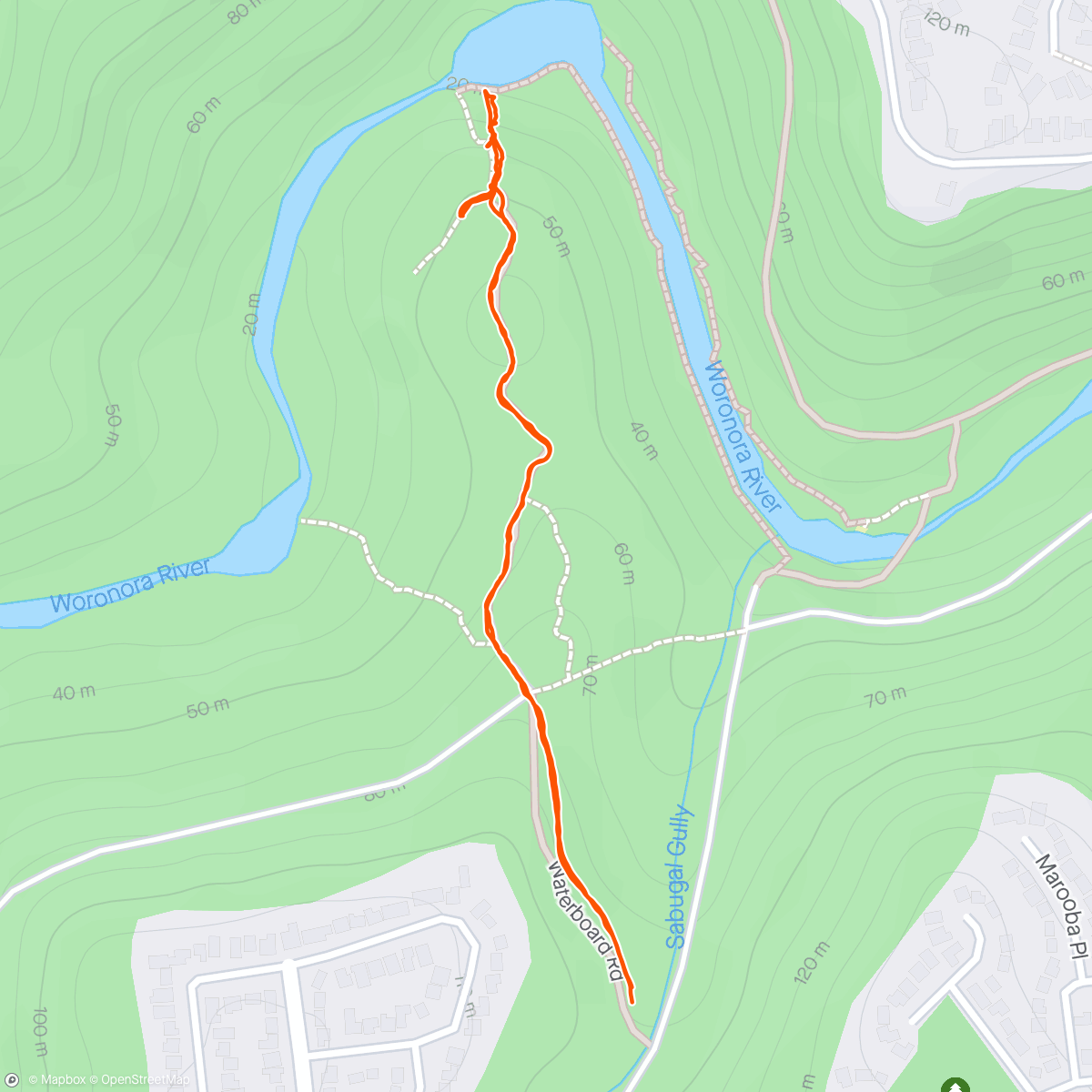 Map of the activity, Engadine lagoon with Jo