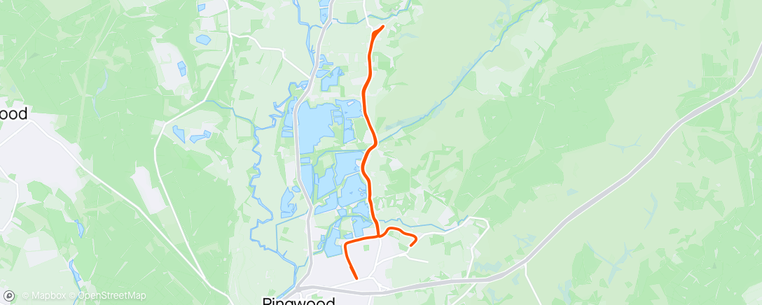 Map of the activity, 4 x 1k / 200 jog