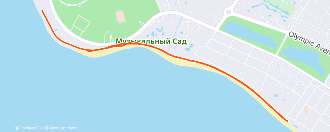 Карта физической активности (Утренний забег)