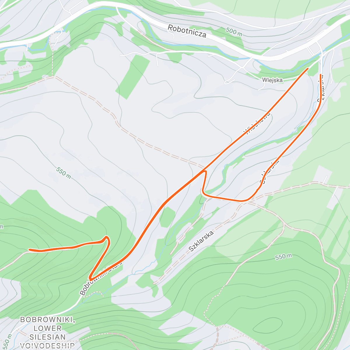 Map of the activity, Afternoon Walk ❄️🎄