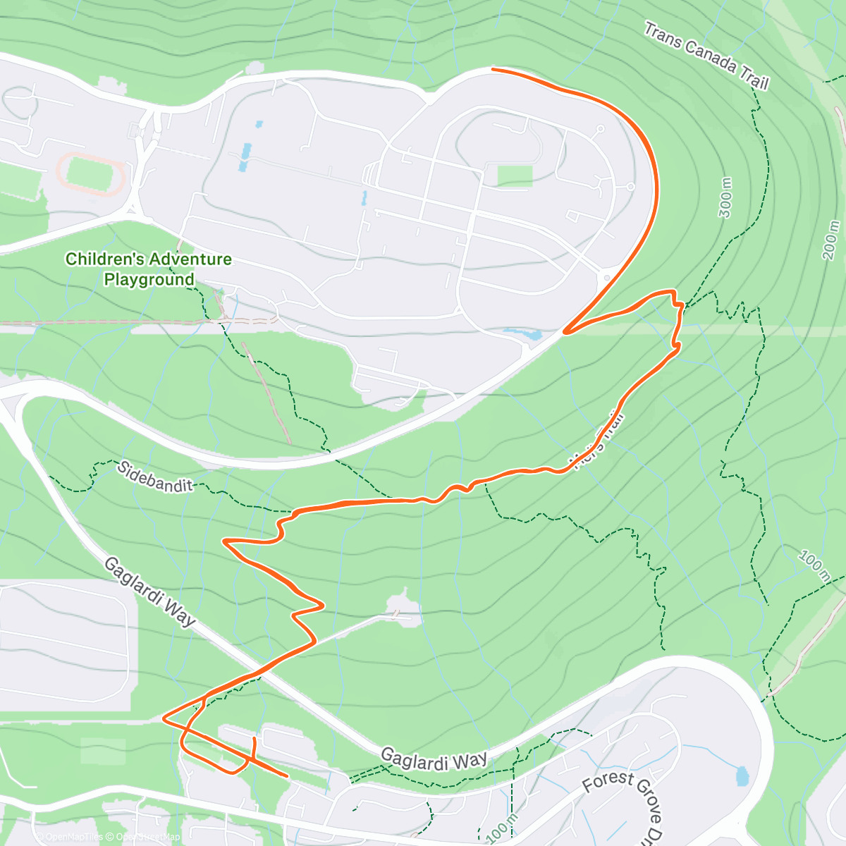 Map of the activity, Morning Trail Run 🐶