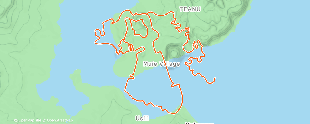 Карта физической активности (Zwift - Tair Dringfa Fechan in Watopia)