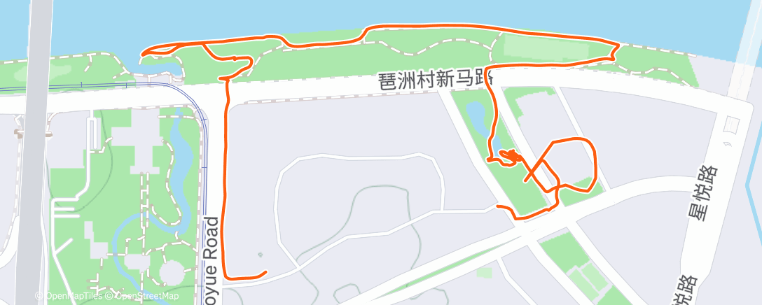 Карта физической активности (Полуденная ходьба)