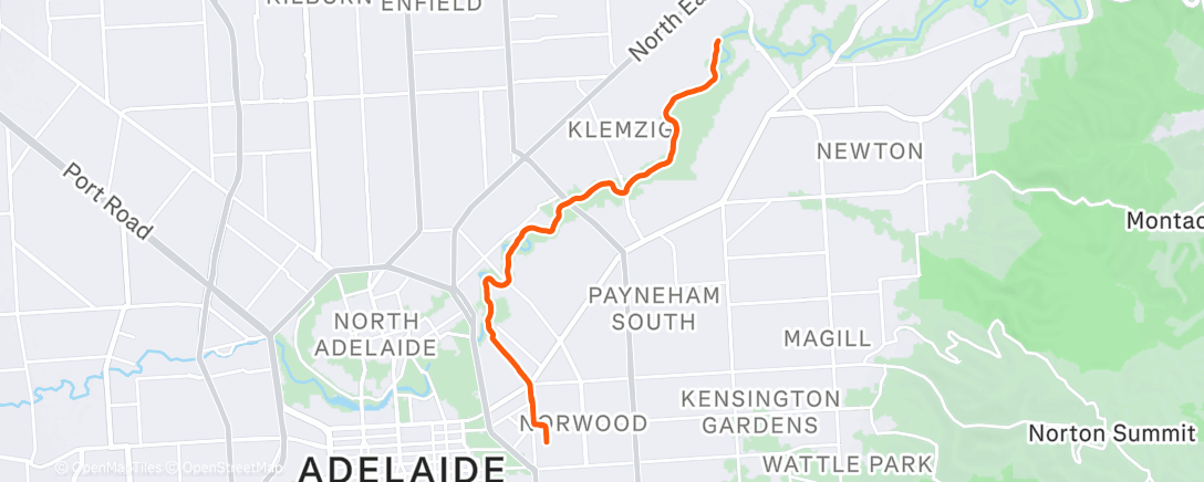 Карта физической активности (Morning Run)