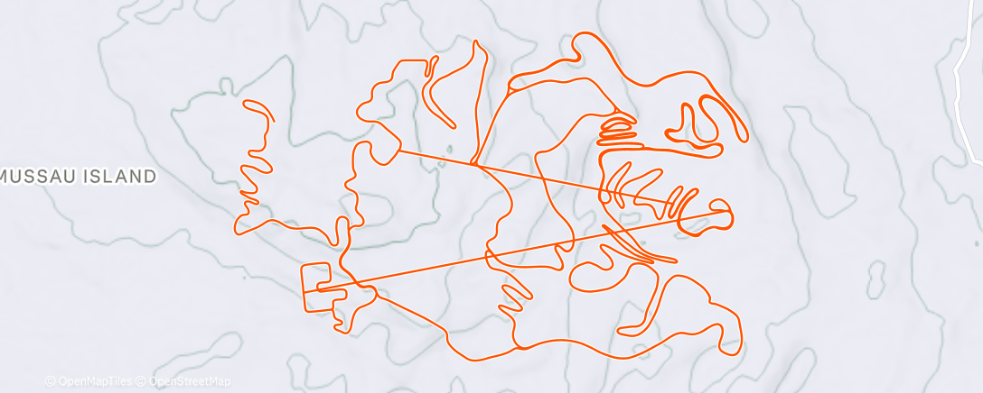 Carte de l'activité 4400 in 4 cuz I’m almost 44 🎐