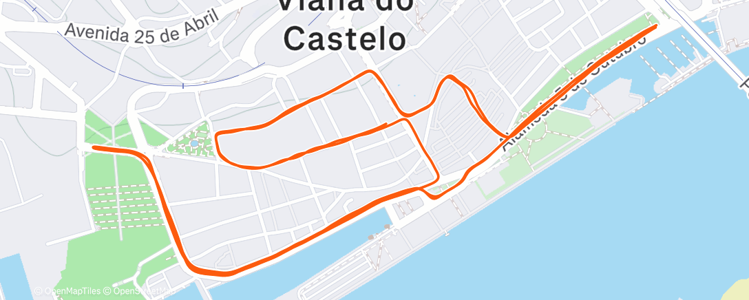 Карта физической активности (12ª  S. Silvestre Viana)