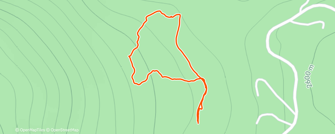 Карта физической активности (Morning Run)