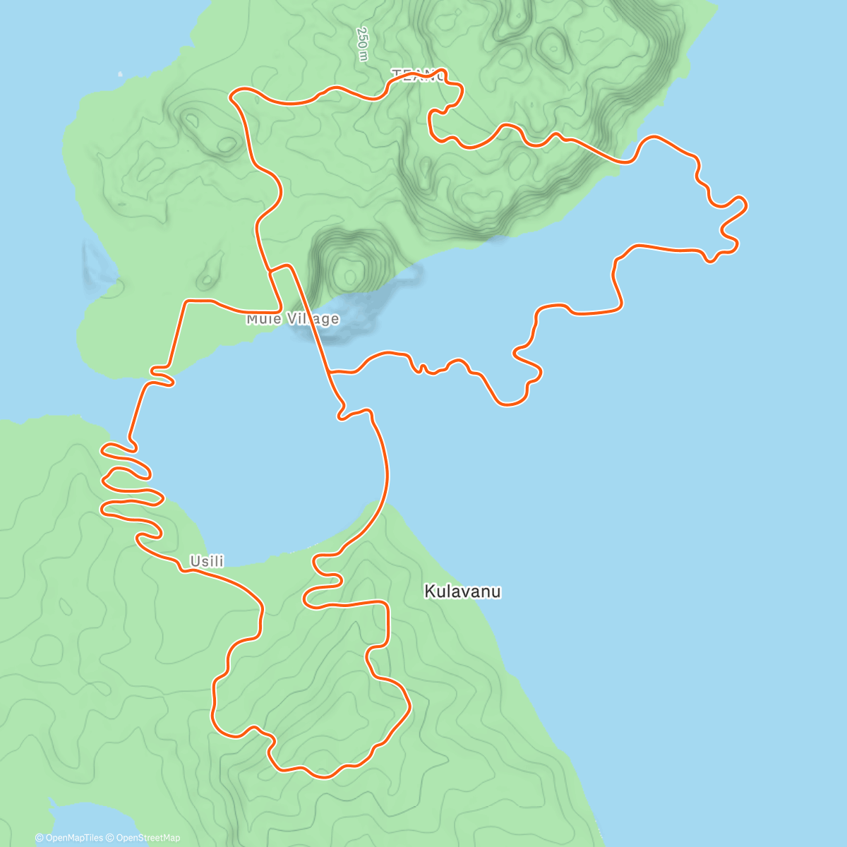 Карта физической активности (Zwift - 2x 20')