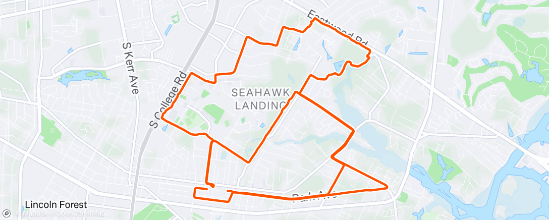 Map of the activity, Morning Run