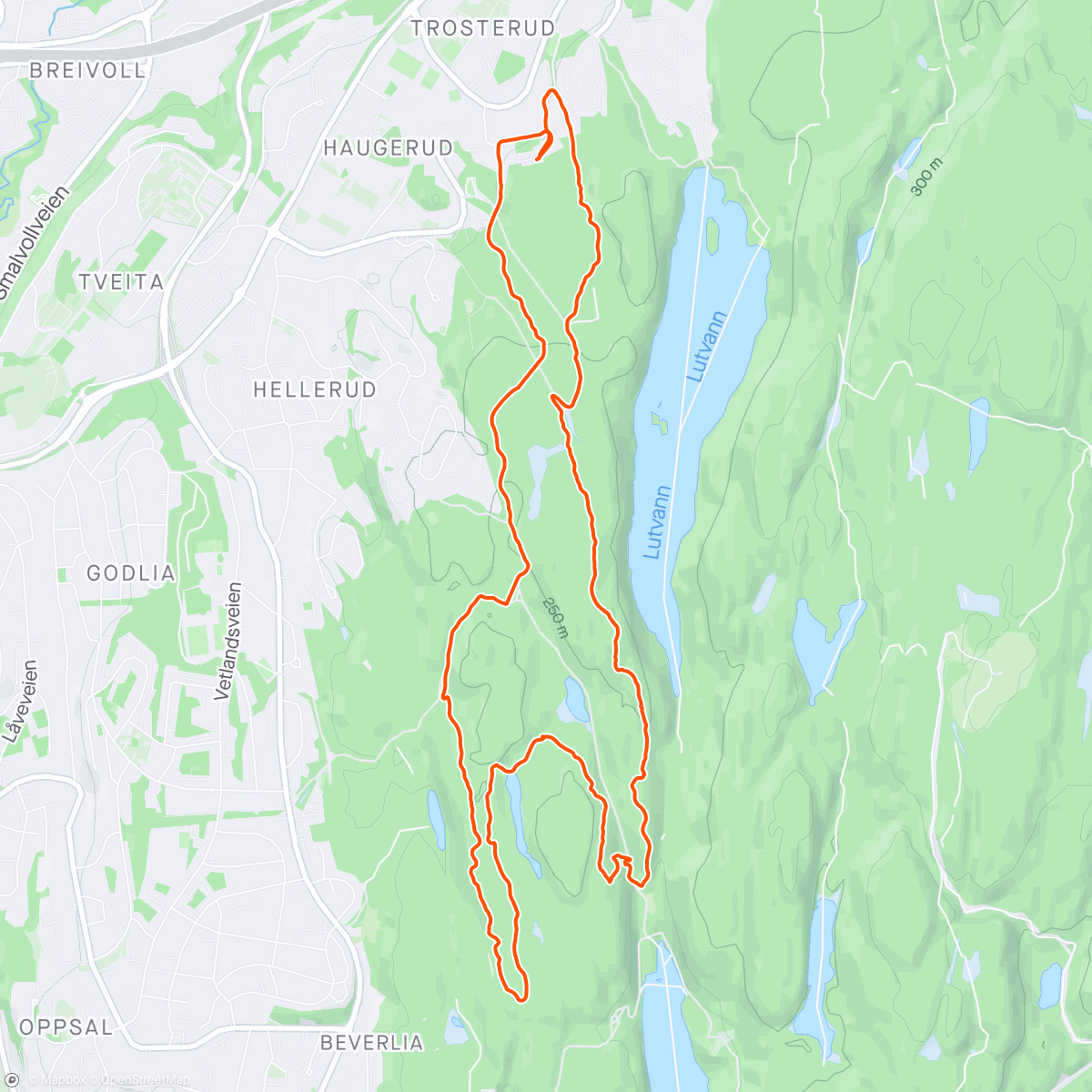 「Evening Mountain Bike Ride」活動的地圖