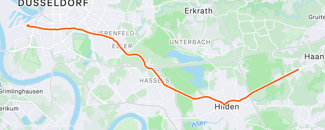 Map of the activity, mdRnH