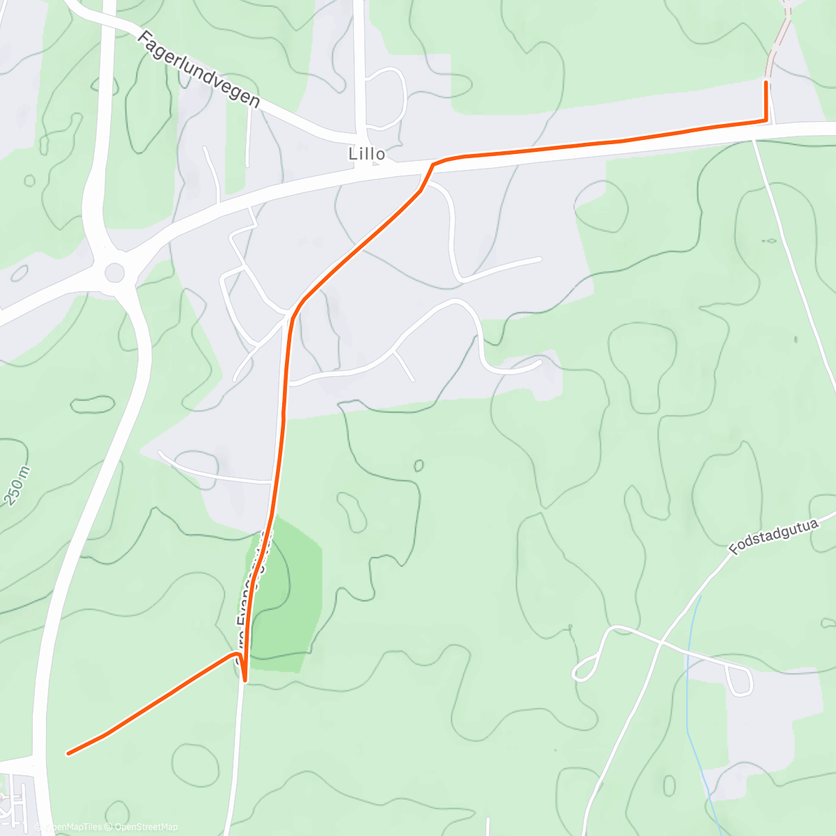 Map of the activity, Morning Walk