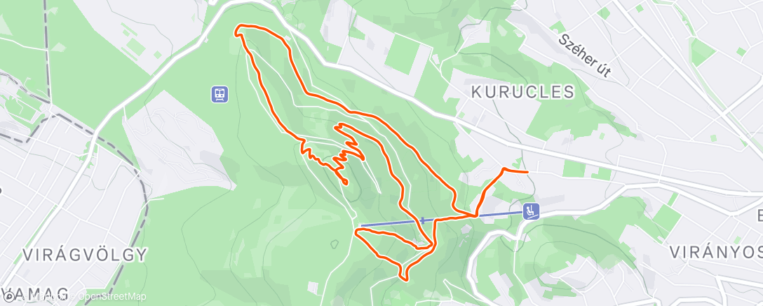 Map of the activity, Morning Trail Run