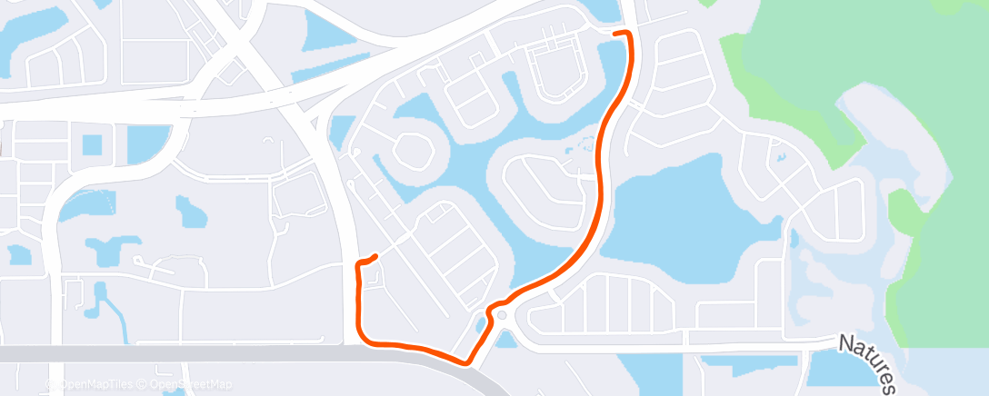 Карта физической активности (Morning Run)