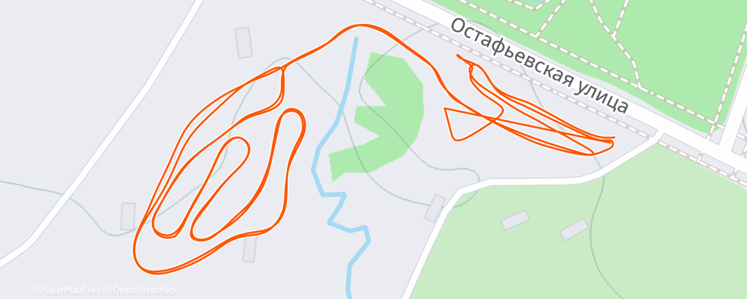 Карта физической активности (Afternoon Nordic Ski)