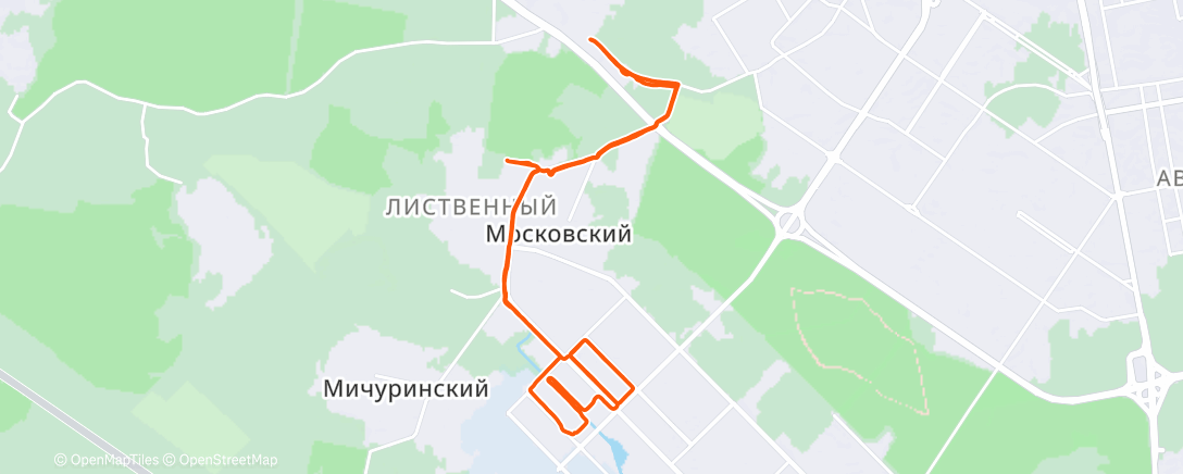 Карта физической активности (Утренний забег)