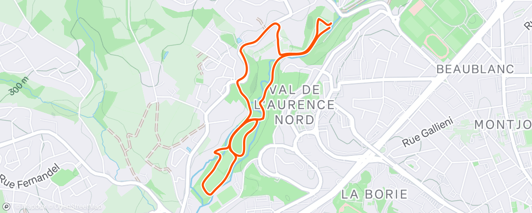 Map of the activity, Afternoon Run