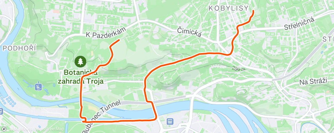 Карта физической активности (Evening Run)