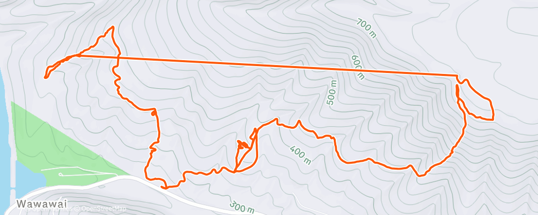 Карта физической активности (2530' of down - gathering strays and moving cows)