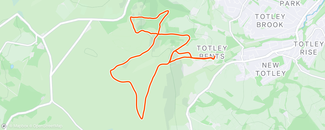 Map of the activity, Totley Moor Fell Race