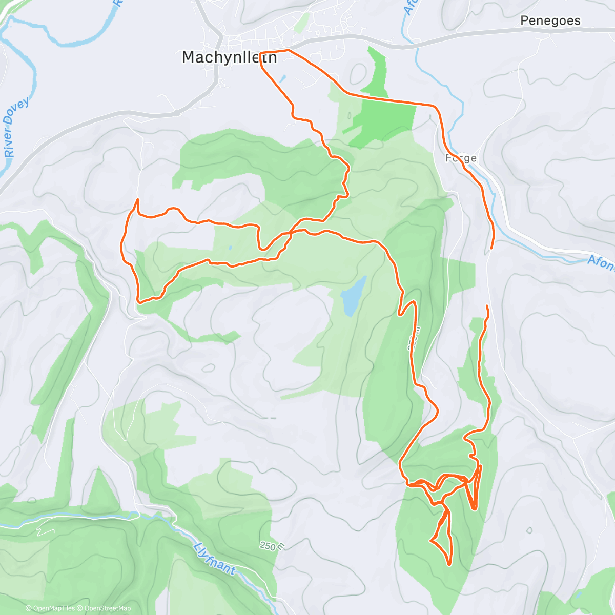 Карта физической активности (Mach bits)