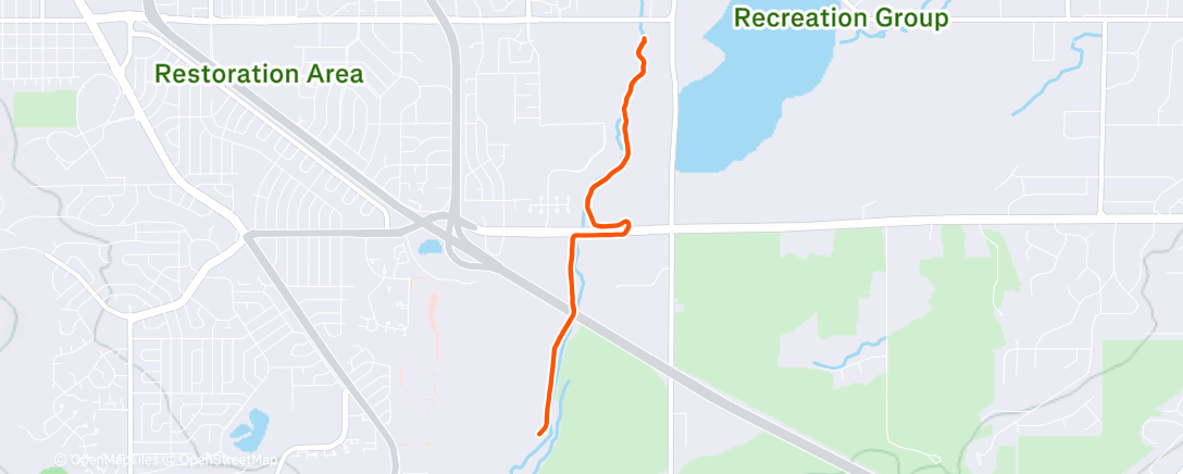 Карта физической активности (Morning Run)