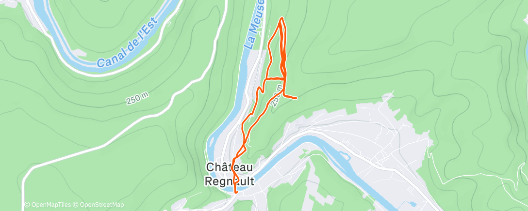 Карта физической активности (Morning Run)