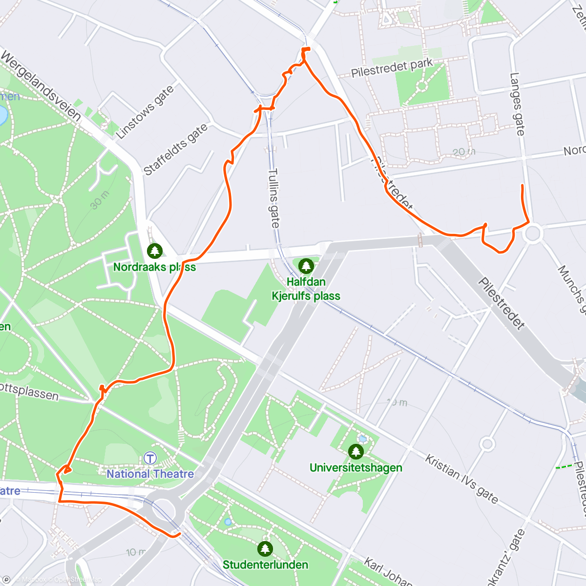Map of the activity, Puppy run